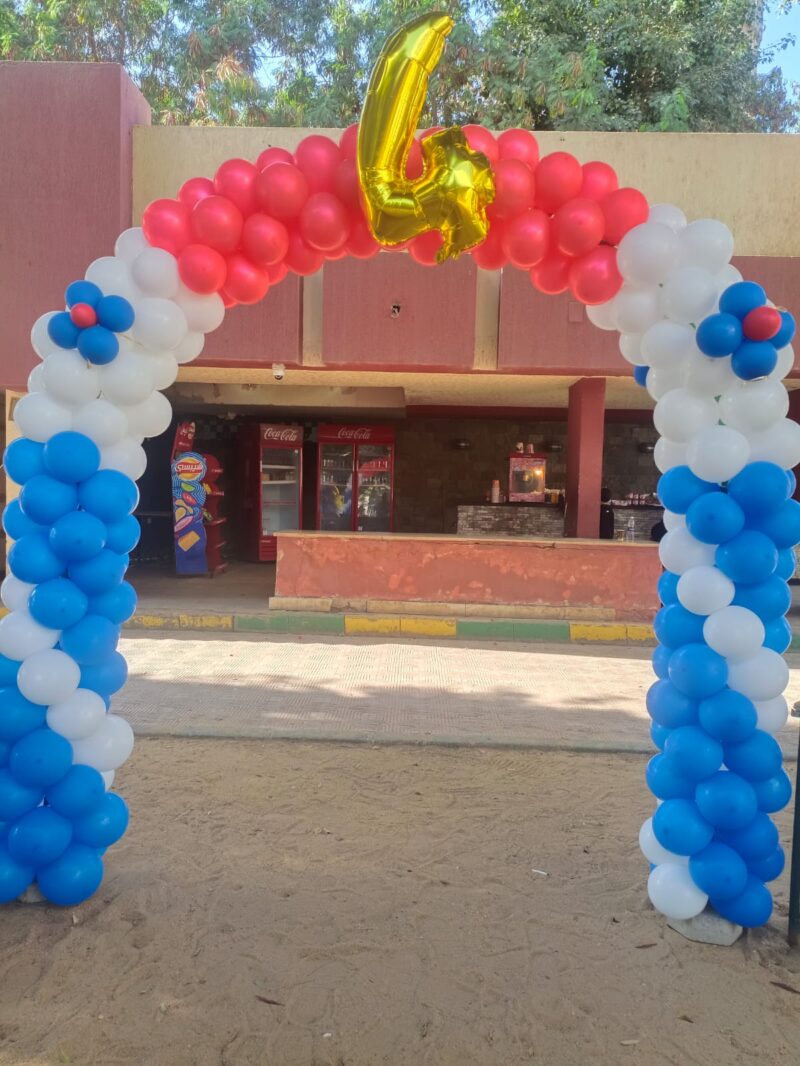 Balloon Decor Code 104