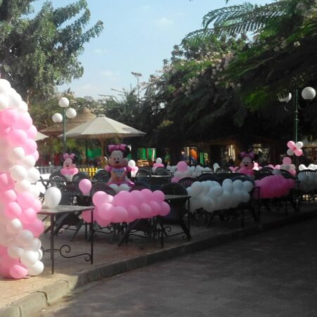 Balloon Decor Code 108