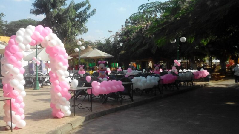 Balloon Decor Code 108