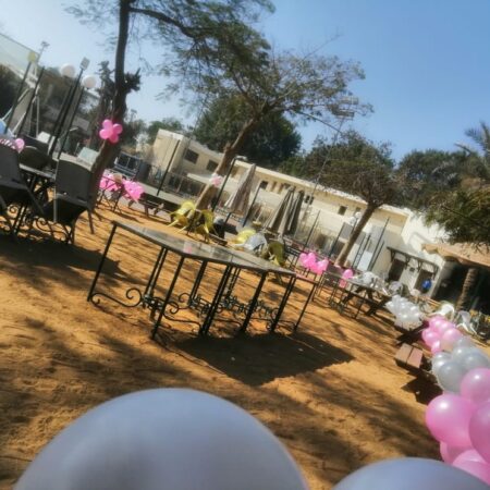 Balloon Decor Code 17