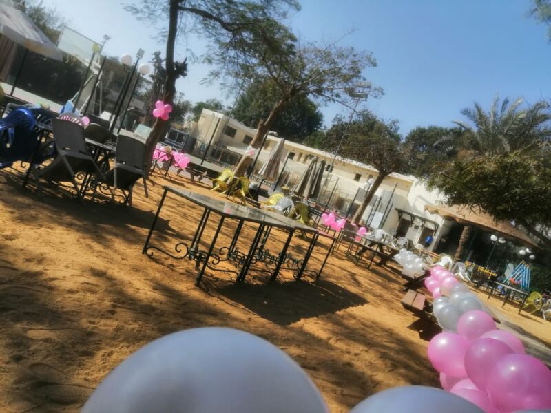 Balloon Decor Code 17