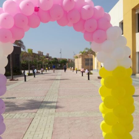 Balloon Decor Code 22