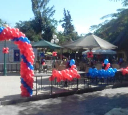 Balloon Decor Code 29