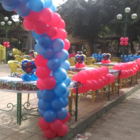 Balloon Decor Code 31