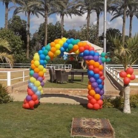 Balloon Decor Code 59