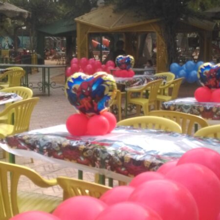 Balloon Decor Code 73