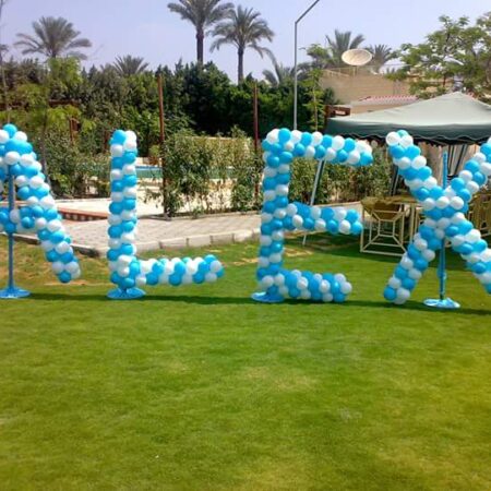 Balloon Decor Code 80
