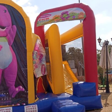 Barny Bouncy Castle