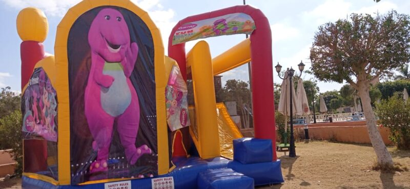 Barny Bouncy Castle