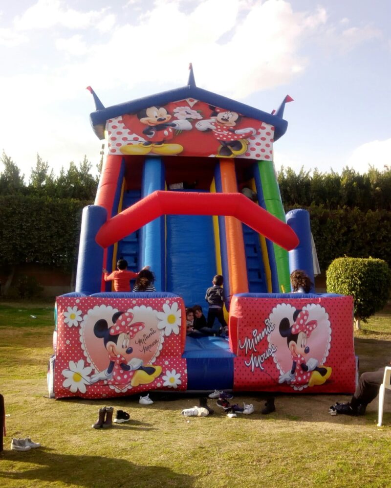 Mini mouse slide - Image 2
