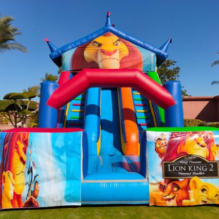 Lion king Slide