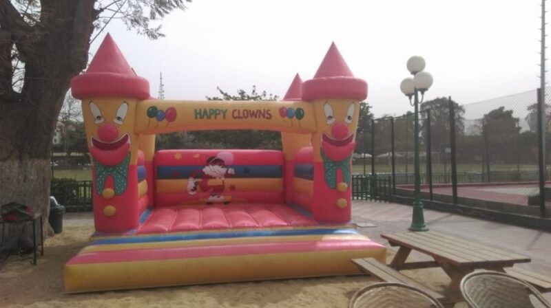 Mini Clown - Image 4