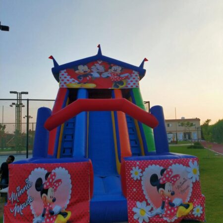 Mini mouse slide