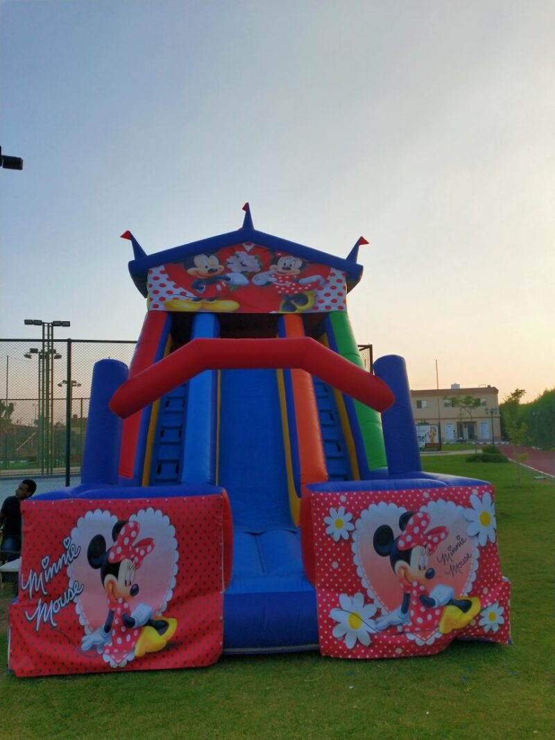 Mini mouse slide