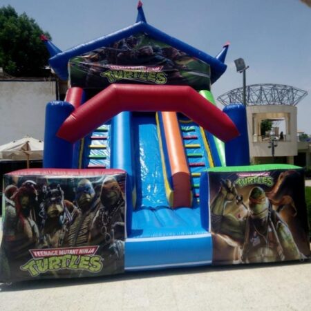 Ninja Turles Slide