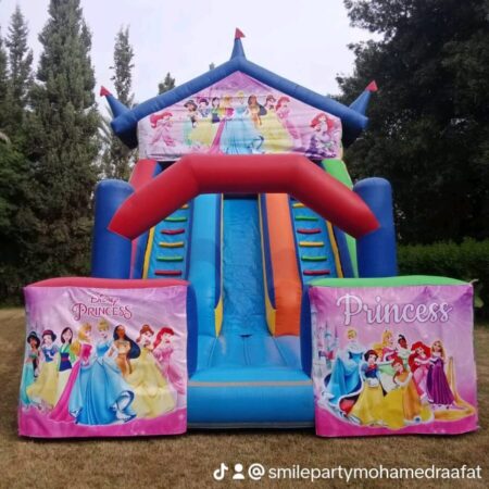 Princess Slide