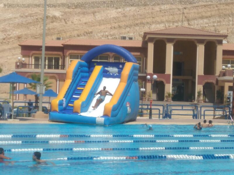 elephant slide