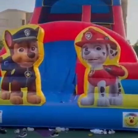 Ninja Turles Slide