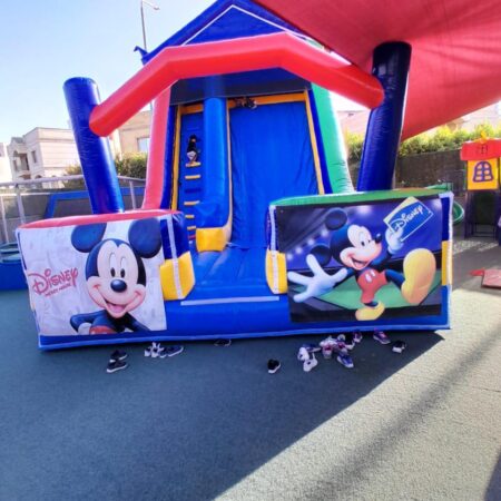 Micky Mouse Slide